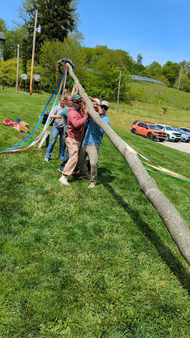 Setting up the May Pole!! Join us tomorrow for Maifest! 
12:15 tapping the Maibo