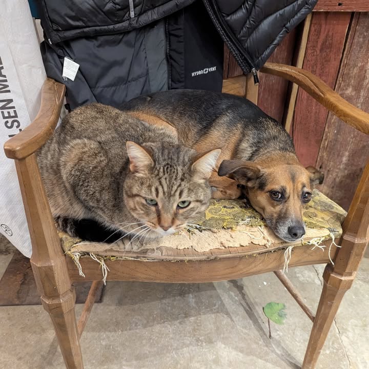 The cold weather and delicious beverages are making friends out of enemies down 