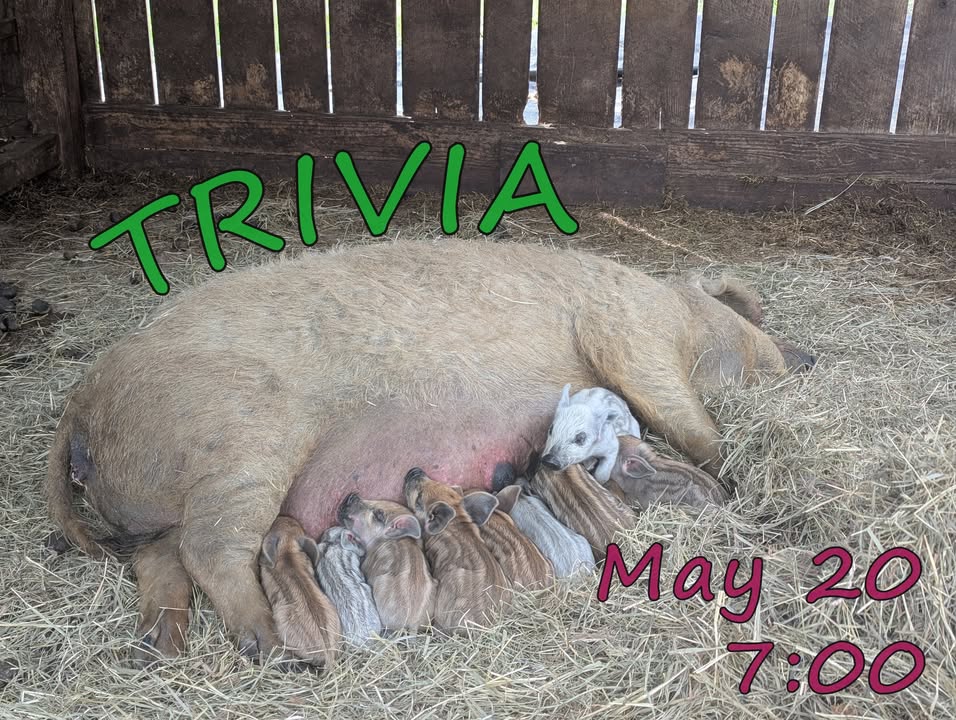 Trivia!  Tomorrow, 5/20/26, at 7pm.  All you mother snugglers are invited!  Ther
