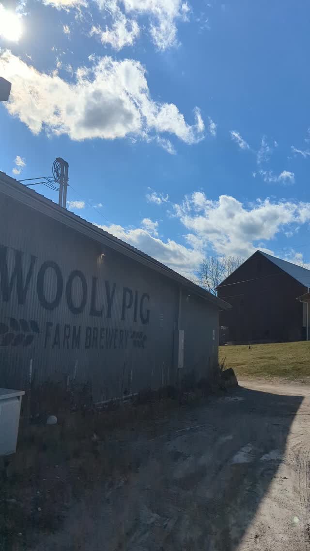 We're getting serious spring vibes today.  Out with the ice and in with the sun 