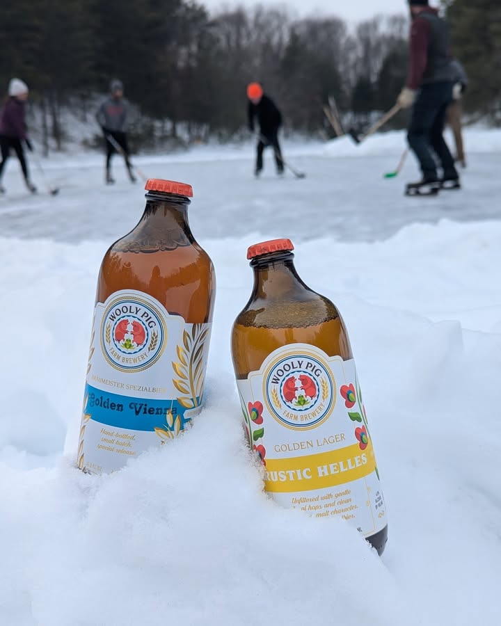 If you can't beat it, play in it!  How are you enjoying this cold snowy winter? 