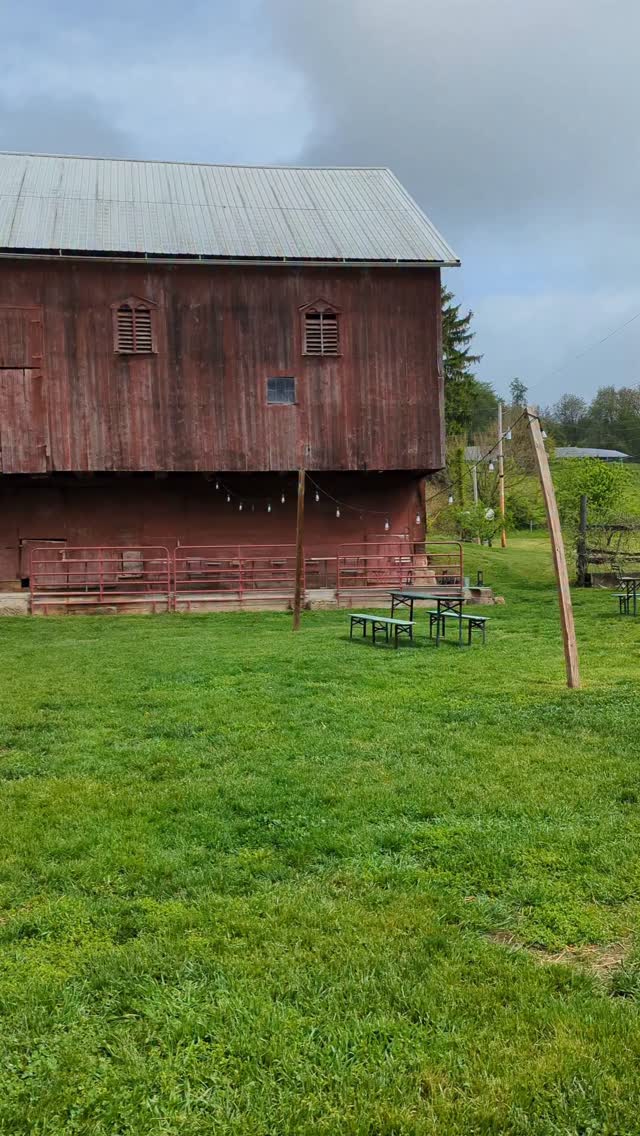 It's a little slice of pastoral paradise down here.  #bestnamewins  #brewerydogs