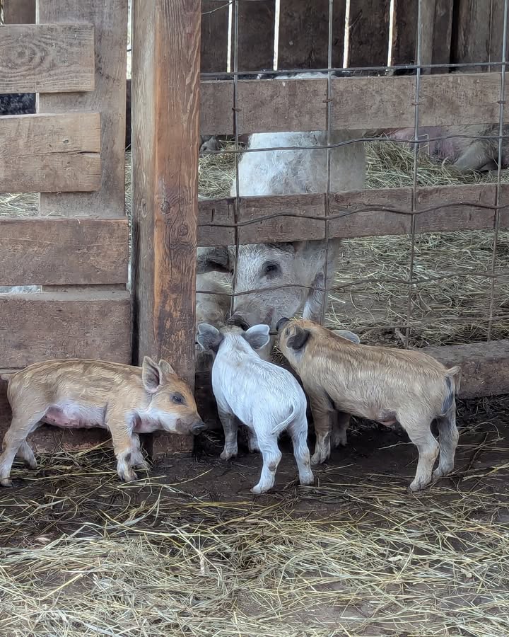 It's a good day to get reacquainted with your friends and neighbors!  Come on do