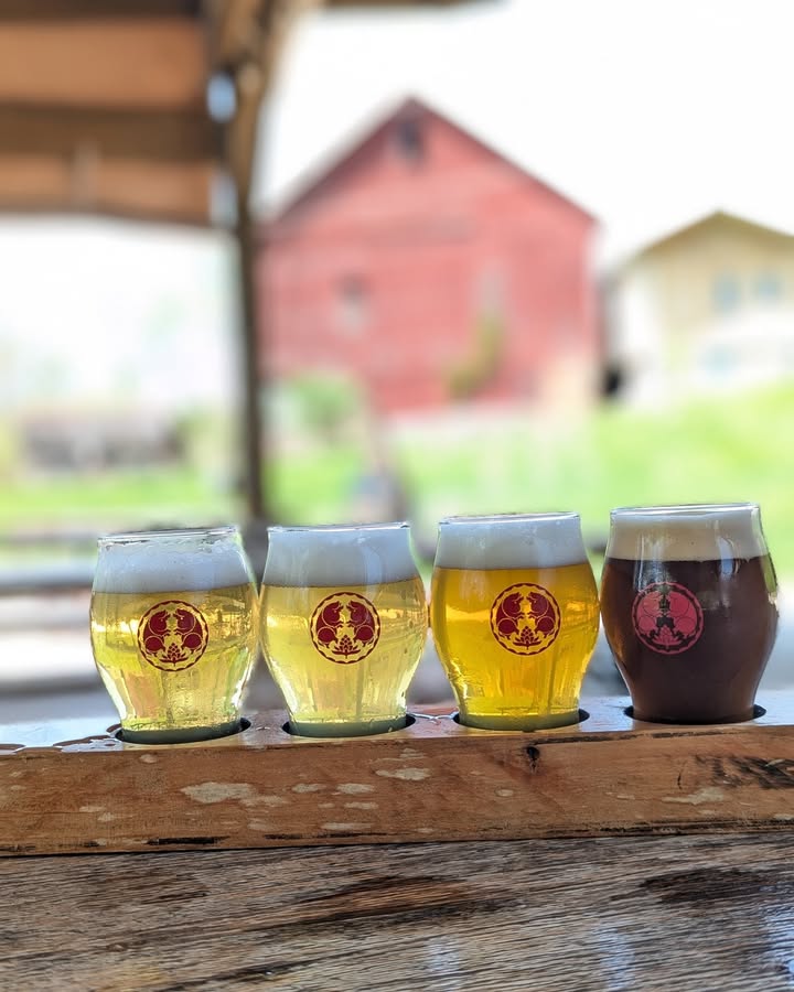 The walls are up on the outside patio, and it's time for the perfect summer flig