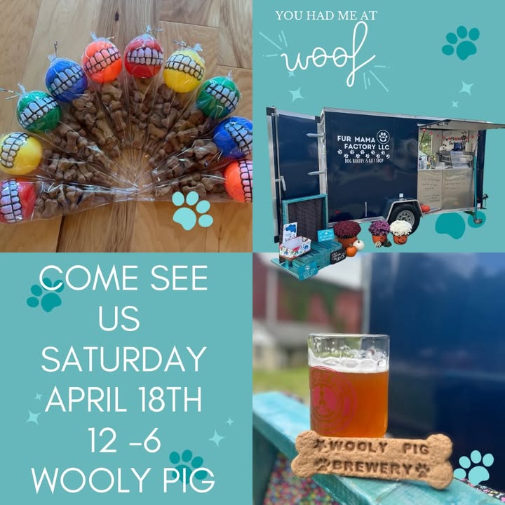 Oh, my goodness, it's gonna be a party this weekend!  Rosie is turning 2 and Fur