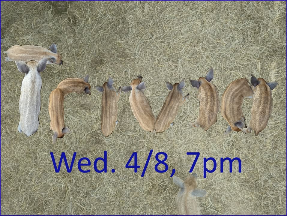 Alright you party animals!  It's time for all your training to pay off!  That's 